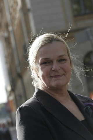 Sinikka Salo, Talouselämä